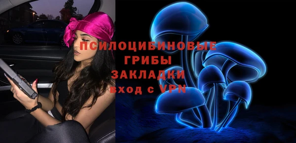 твердый Горняк