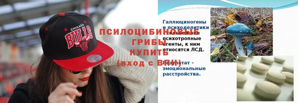 а пвп мука Горно-Алтайск