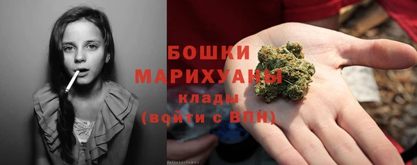 твердый Горняк