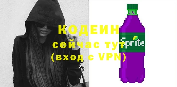 твердый Горняк