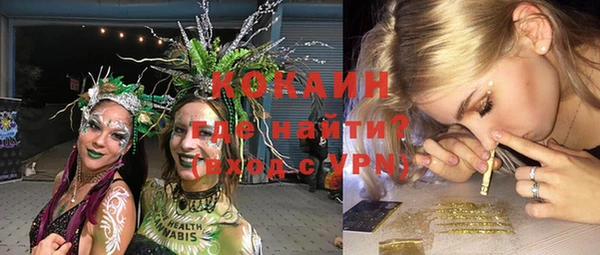 твердый Горняк