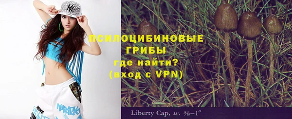твердый Горняк