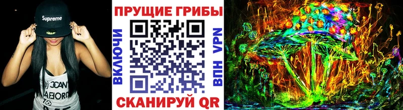 где купить   Нерюнгри  блэк спрут ссылка  Галлюциногенные грибы ЛСД 