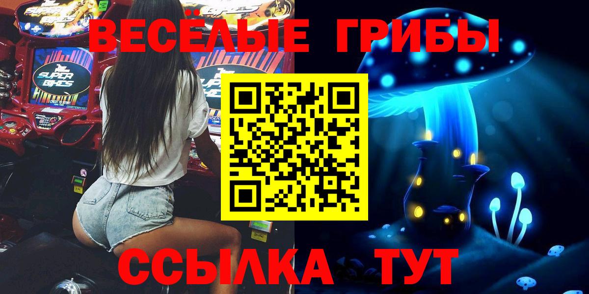 Галлюциногенные грибы Psilocybine cubensis Нерюнгри