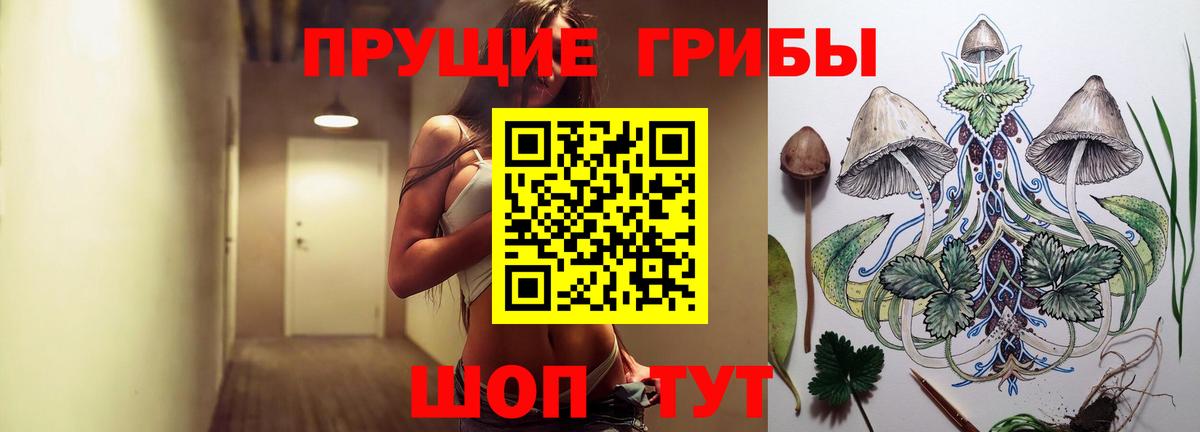 Галлюциногенные грибы Cubensis Нерюнгри