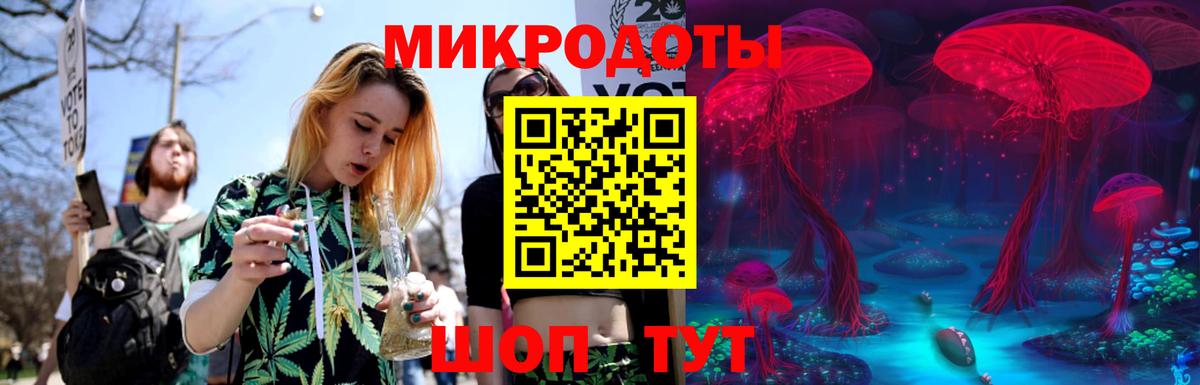 Псилоцибиновые грибы Psilocybine cubensis  Вход с VPN  Нерюнгри 