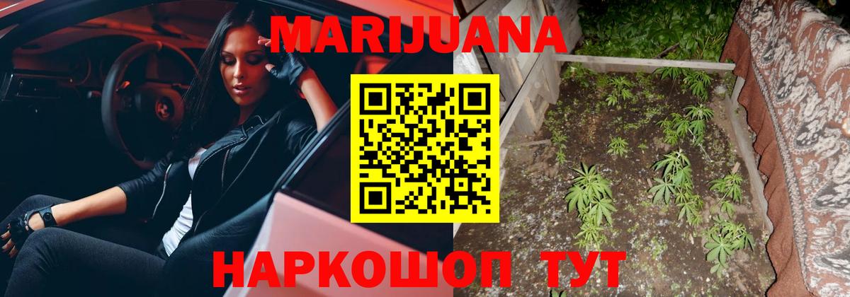 Бошки Шишки конопля Нерюнгри